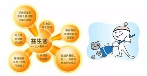 益生菌与益生元 协同增效的健康“黄金搭档”